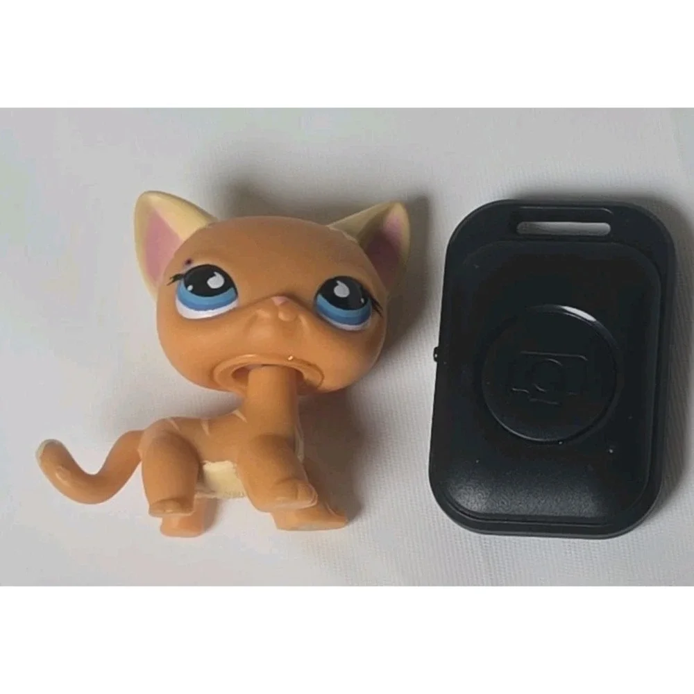 LPS No # Puzzle Shorthair Cat Blue Sportiest Eyes Littlest Pet Shop Hasbro 2006